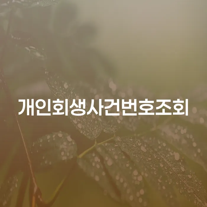 개인파산제도 카드빚 연체 관련정보