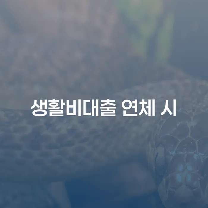 채무탕감 연체 채무 신속해결방법 빨리신청해야하는