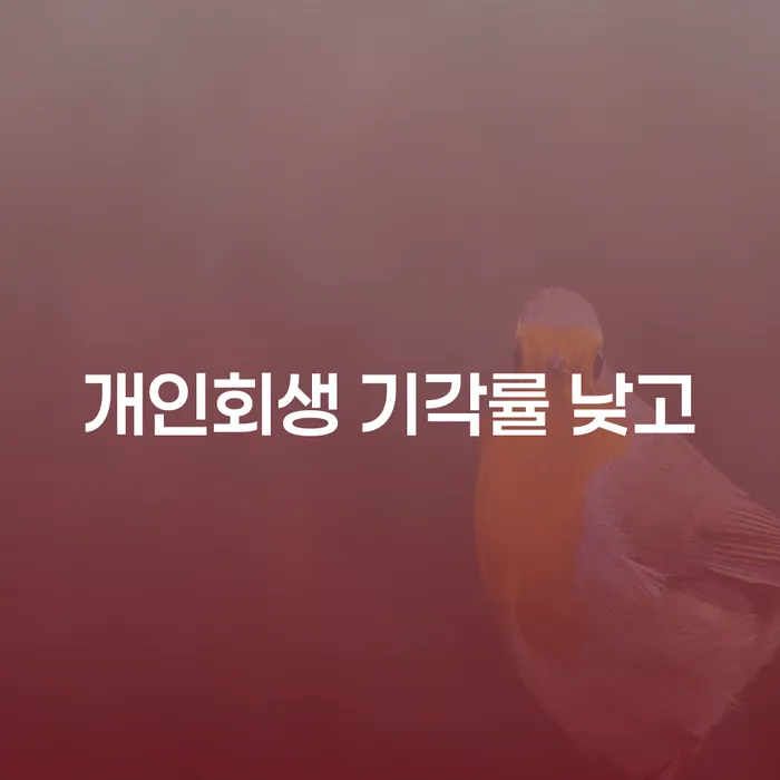 개인회생채권자 개인회생 제도 접수하자