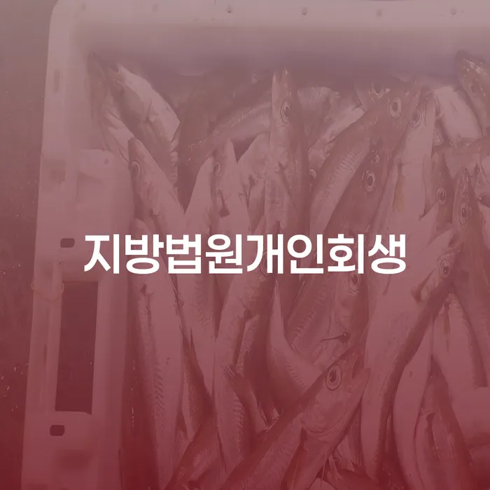 창원파산신청 개인회생 처리방법 과정을
