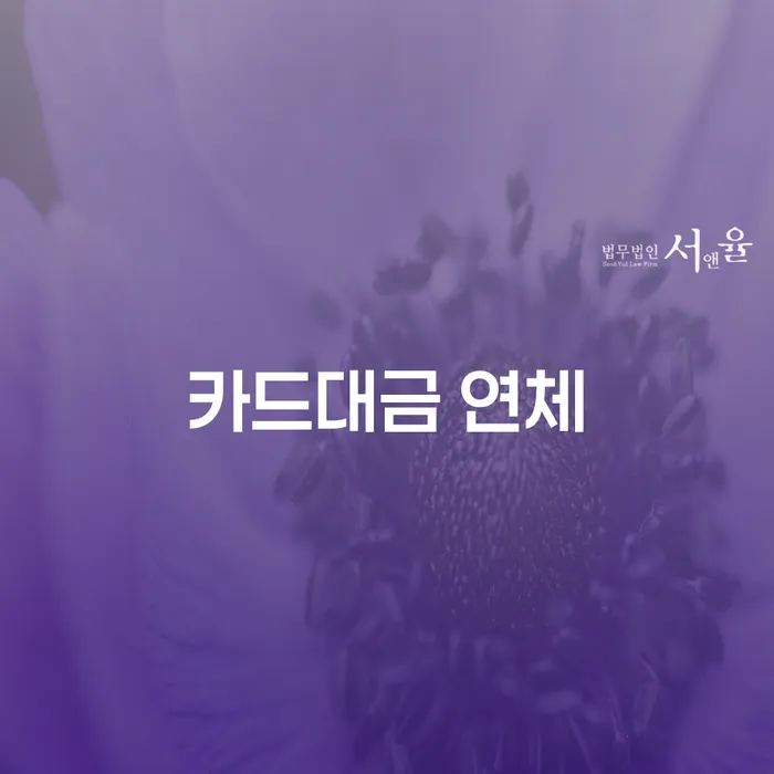 회생절차 대출 연체 개인회생 잘하는 사무소