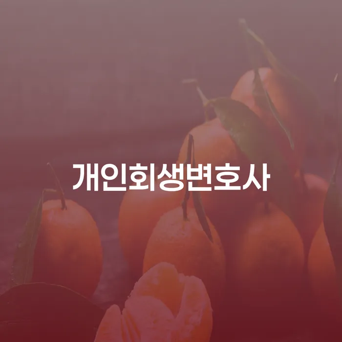 개인파산면책기간 개인회생으로 현명하게 최신정보