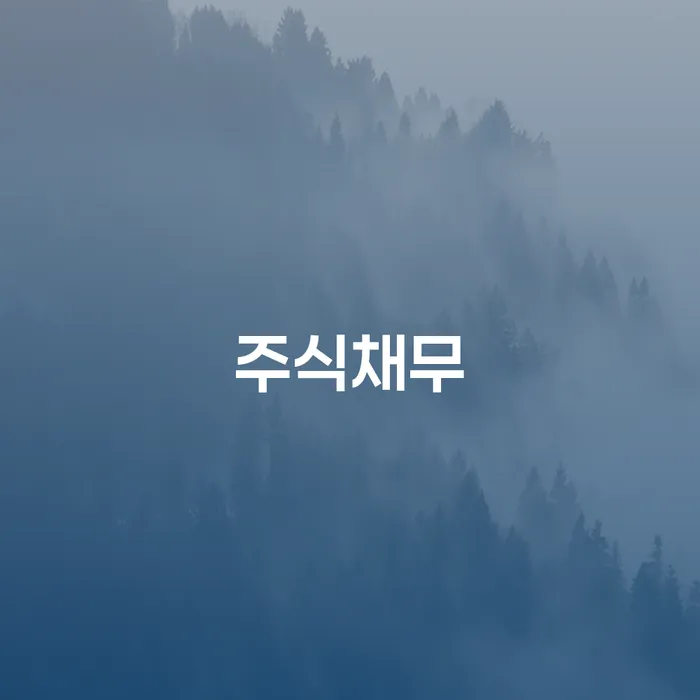 개인회생변호사 개인회생으로 방법 진행하는