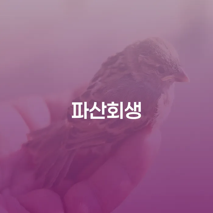 개인회생변제금 대출 받은 돈채무조정 대해서