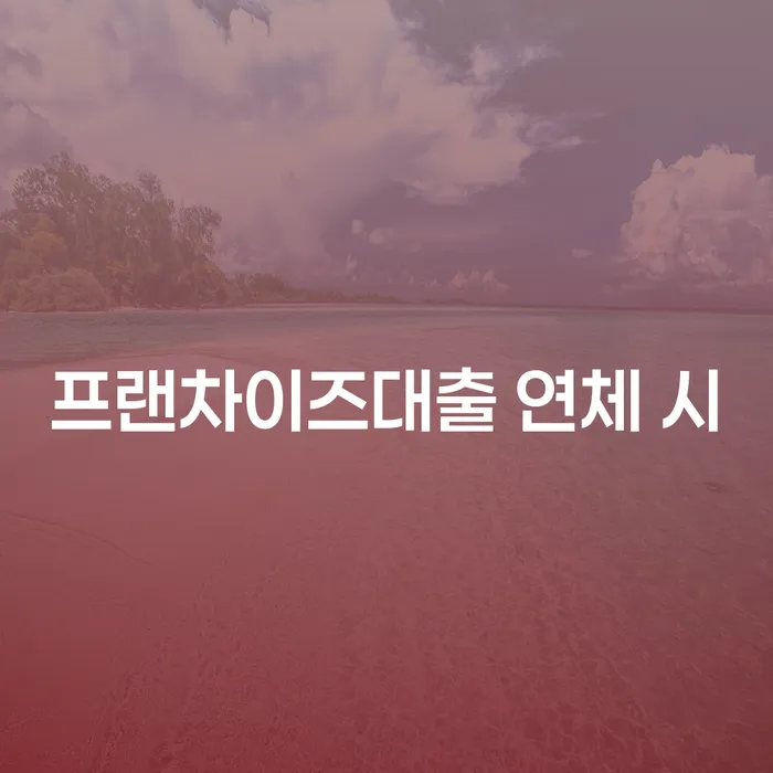 카드빛 대출 받은 돈채무조정 얼마?