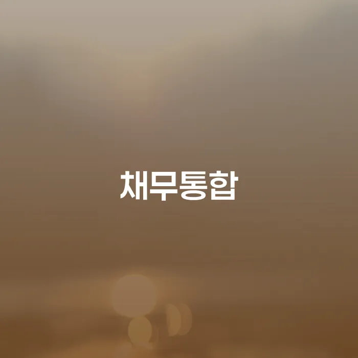 중랑구 기사회생 대출 받은 돈채무조정 신청절차에