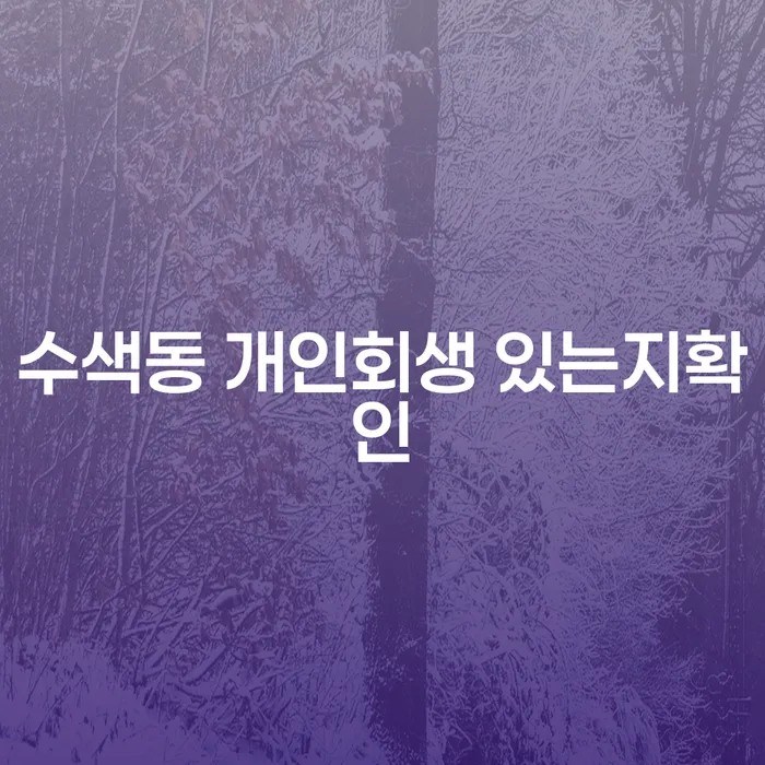 수색동 개인회생 있는지확인