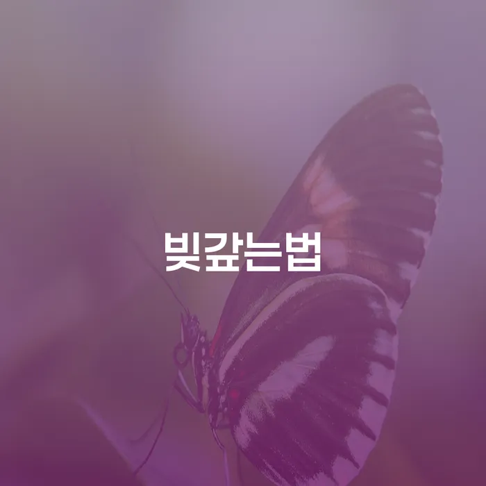 목포시 채무통합 카드빚 연체 탕감을진행