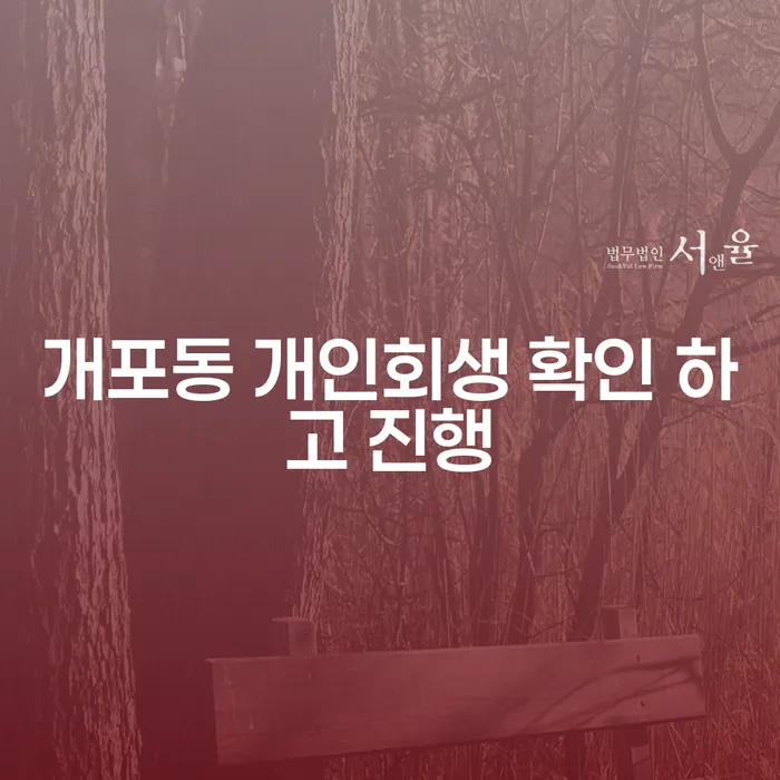 개포동 개인회생 확인 하고 진행