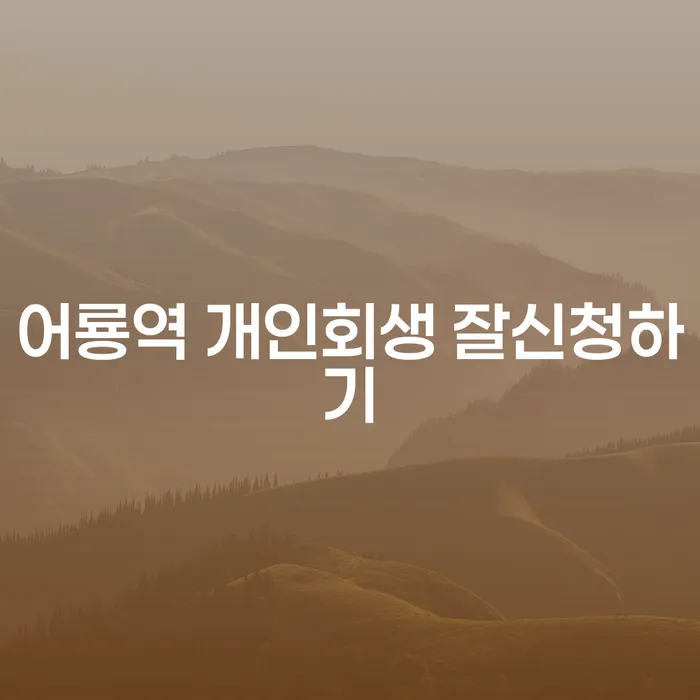어룡역 개인회생 잘신청하기