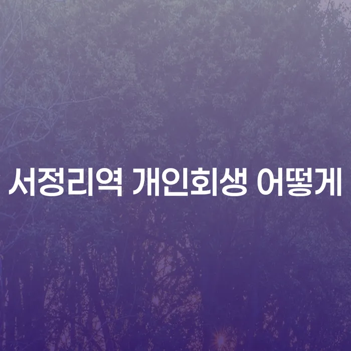 서정리역 개인회생 어떻게