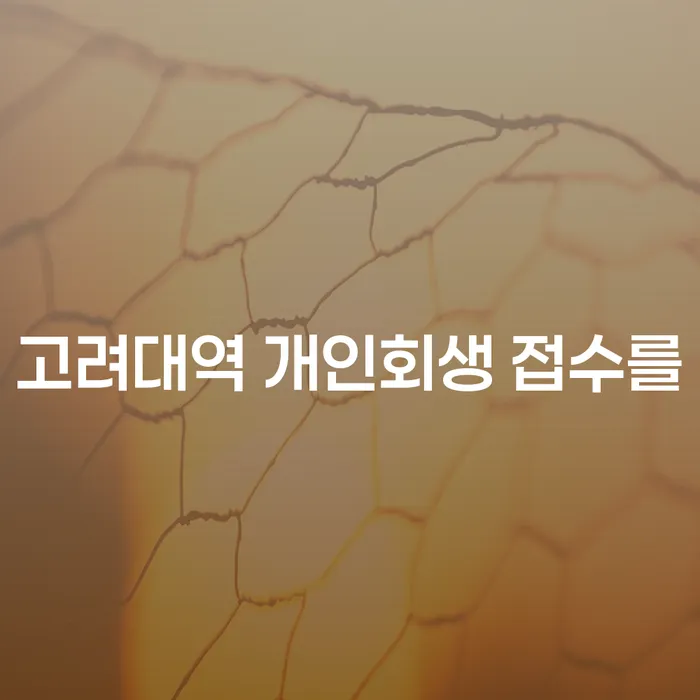 고려대역 개인회생 접수를
