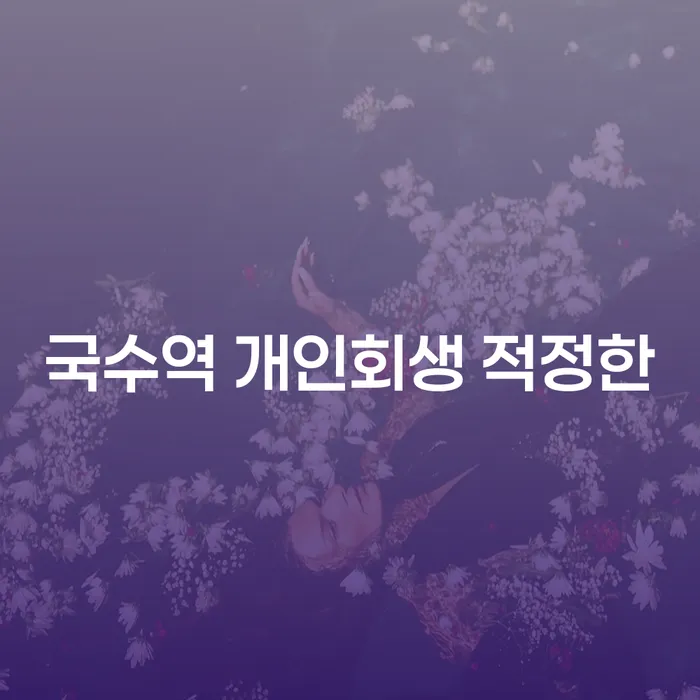 국수역 개인회생 적정한