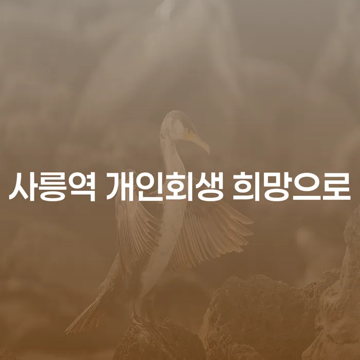 사릉역 개인회생 희망으로
