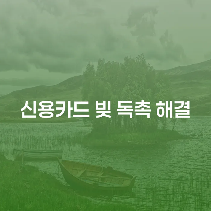 신용카드 빚 독촉 해결, 어떻게 해야 할까요?