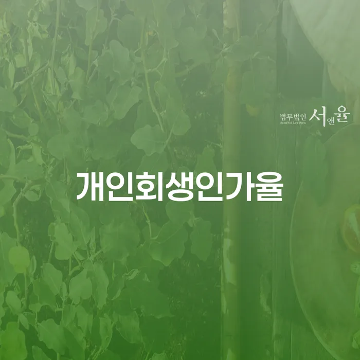 개인회생인가율이 높아지는 이유는 무엇일까요?